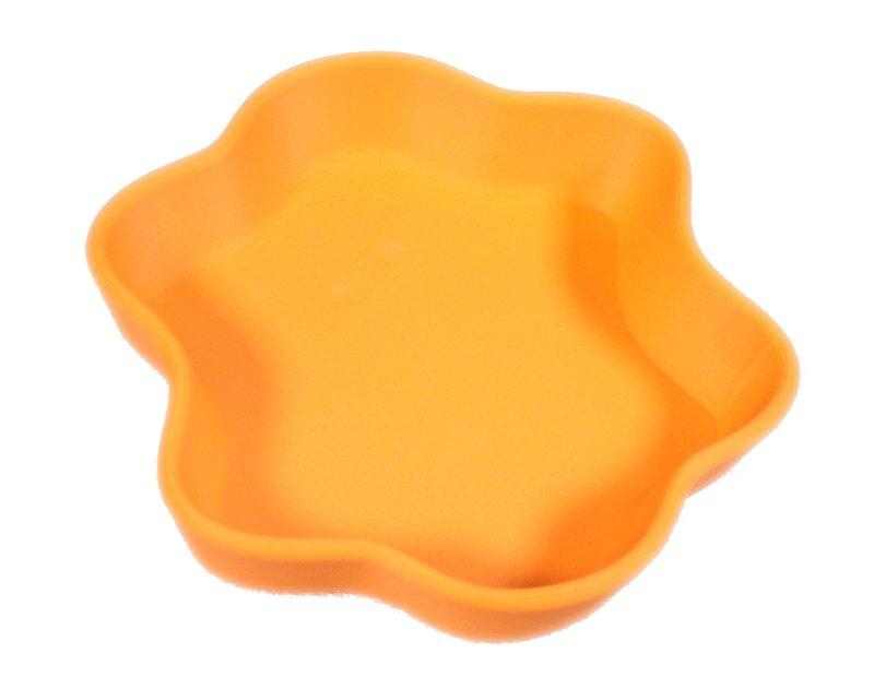 画像2: アクセサリー・ケース　L (2)