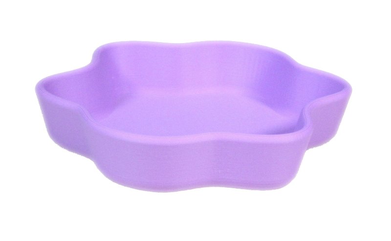 画像10: アクセサリー・ケース　L (10)