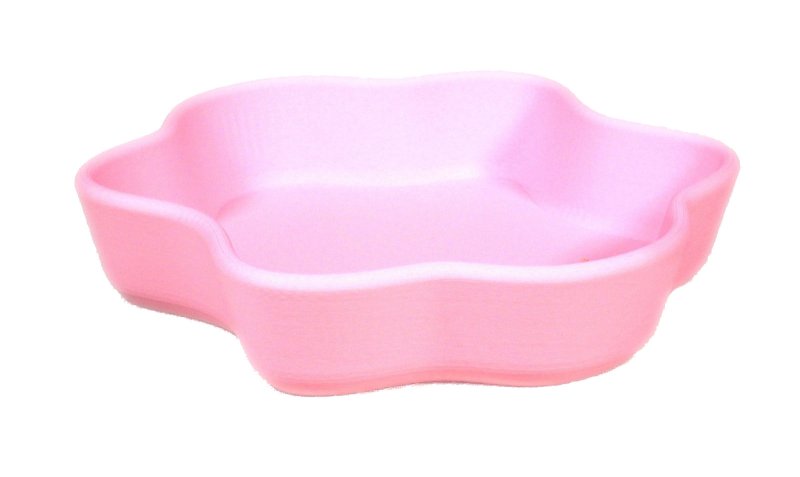 画像9: アクセサリー・ケース　L (9)